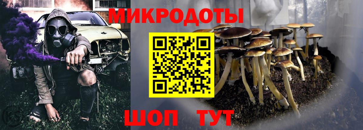 Галлюциногенные грибы Cubensis  Вход с VPN  Усть-Джегута 